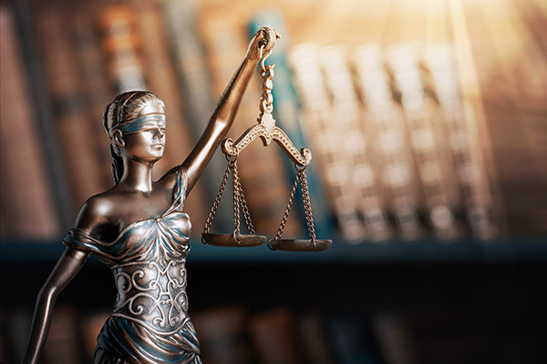 Legal and Professional Sector We work with legal firms on legal processes where essential paperwork has been completed in another language.